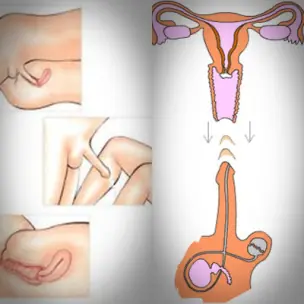 mujeres
