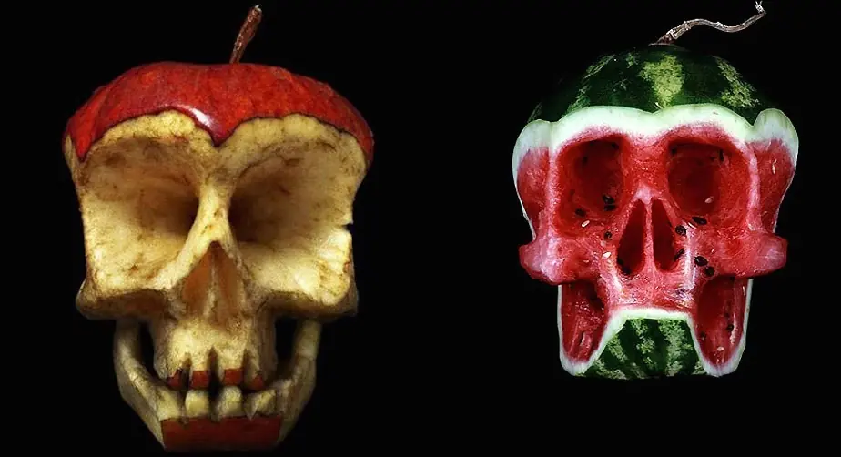 Destrozo el vegetarianismo en un solo post