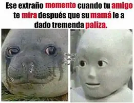 imagenes de Humor
