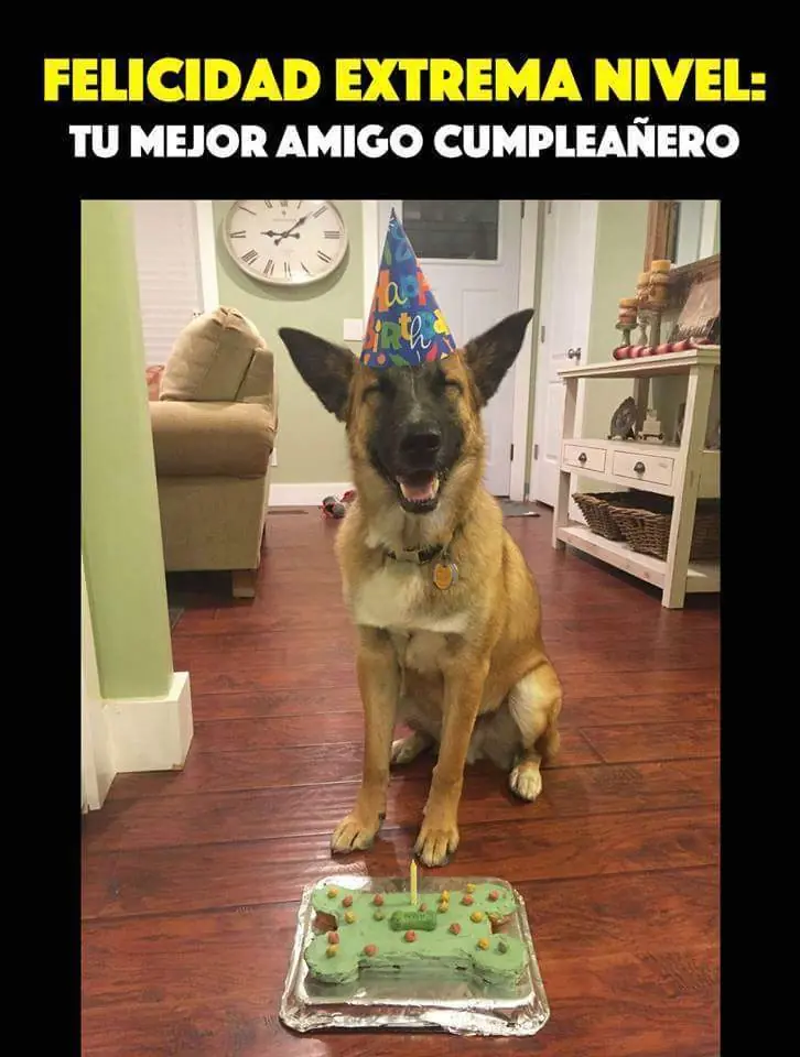 imagenes de Humor