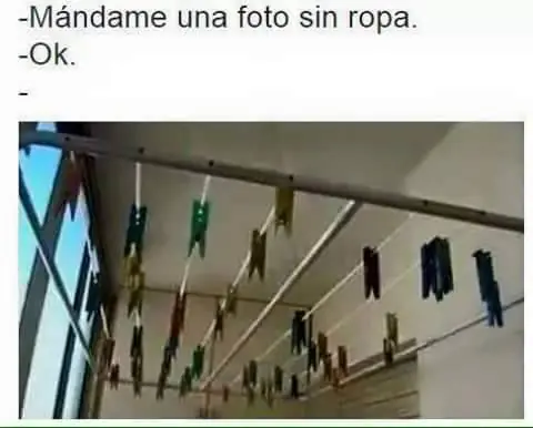 linces