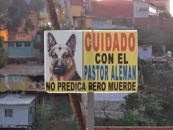 imagenes de Humor