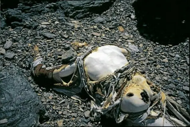 zona muerta