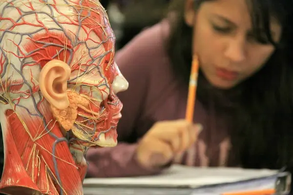 La Pechee en un examen importante y te lo cuento