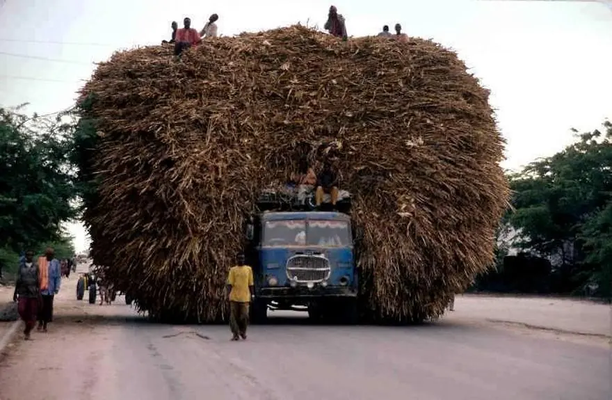 transporte