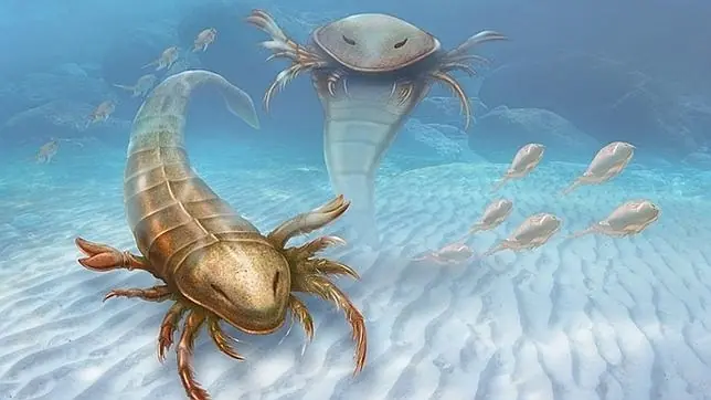 Descubierta una nueva especie de escorpión marino en EE. UU