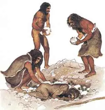 homologar