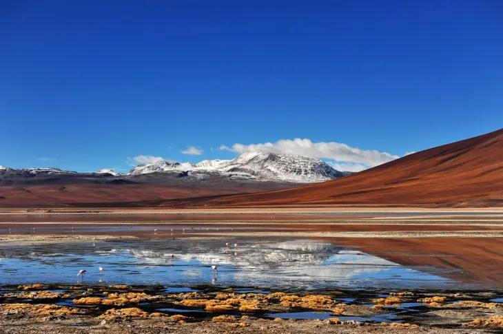 hermoso