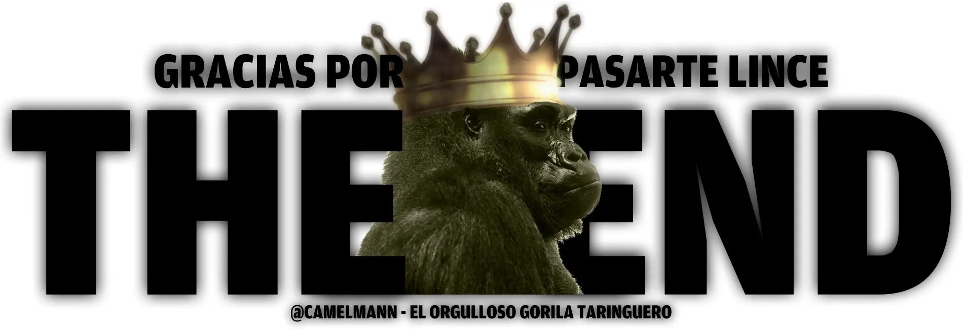 Mi primer T! at Nite! lleno de gifs de Gordas, vení!