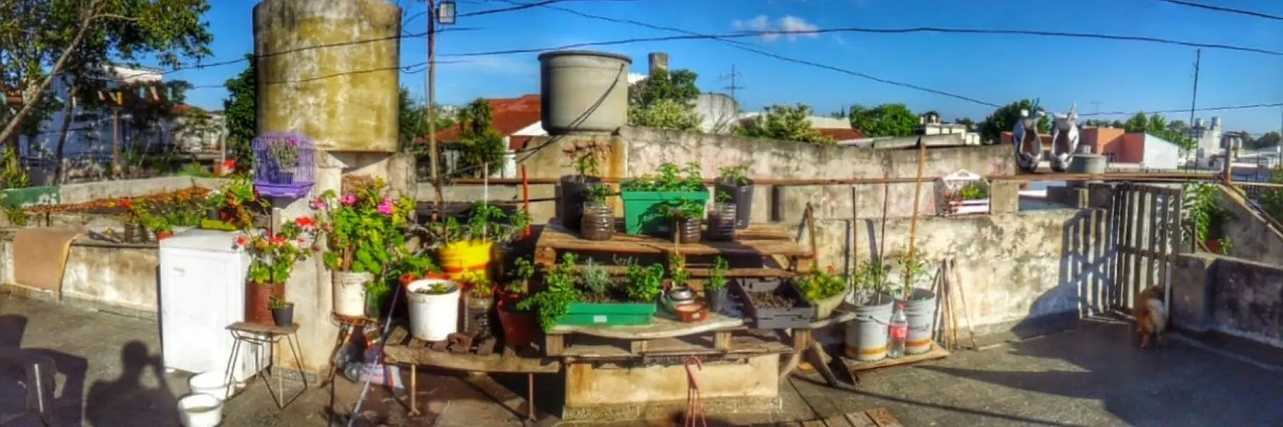 huerto urbano
