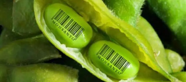 MONSANTO