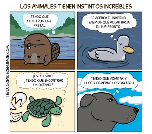 Muchos chistes especiales para este viernes de siluetas