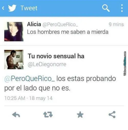 respuestas estupidas
