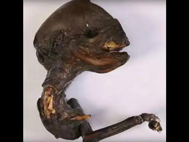 alien