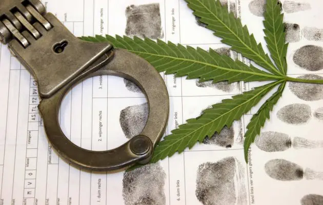 marihuana marihuana