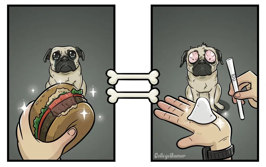 Humor de Jueves  Renovadísimo