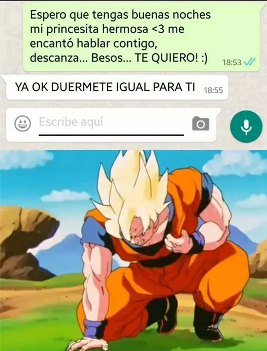 reite
