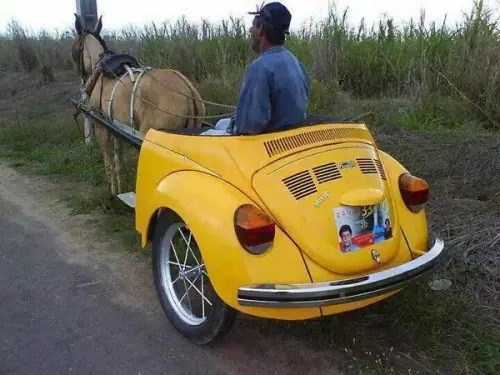 renovado