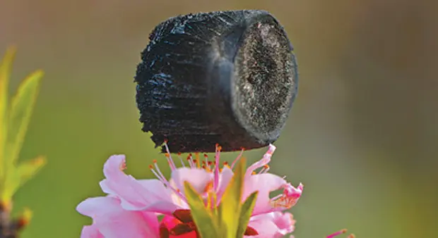 aerogel de grafeno aerogel de grafeno