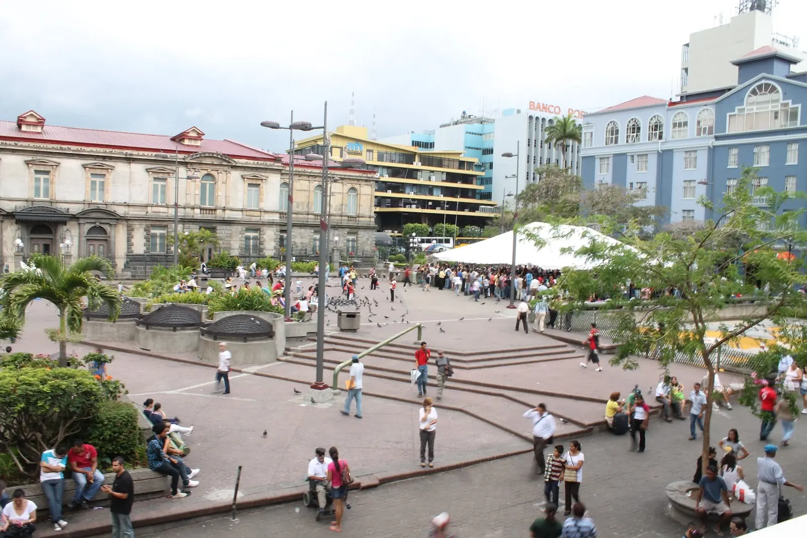 saprissa