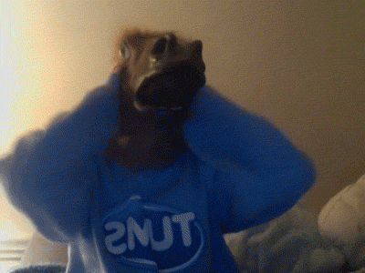 gif de risa