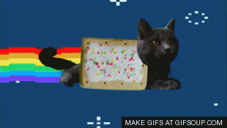 LAS MEJORES GIF de internet (Para morirse de risa)
