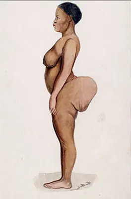 La Venus del inmenso trasero