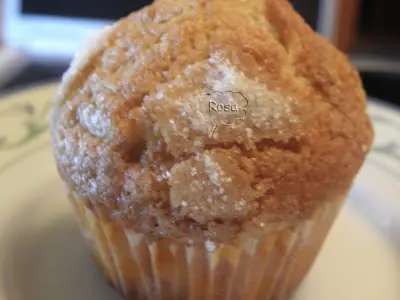 Magdalenas de Xavier Barrigas