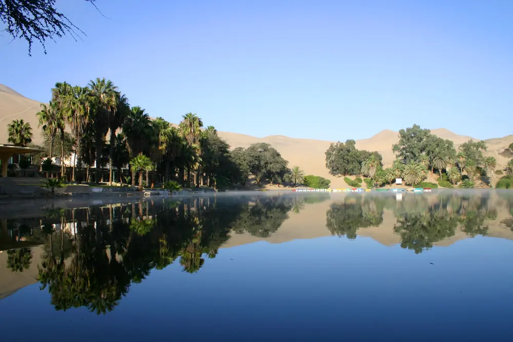 El unico oasis de América... pasa lince