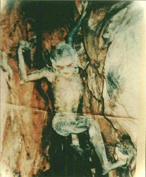 ovnis