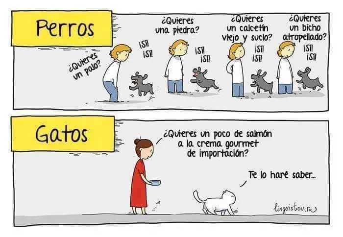 Humor para Maquinolas