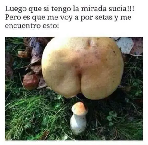 maquinolas