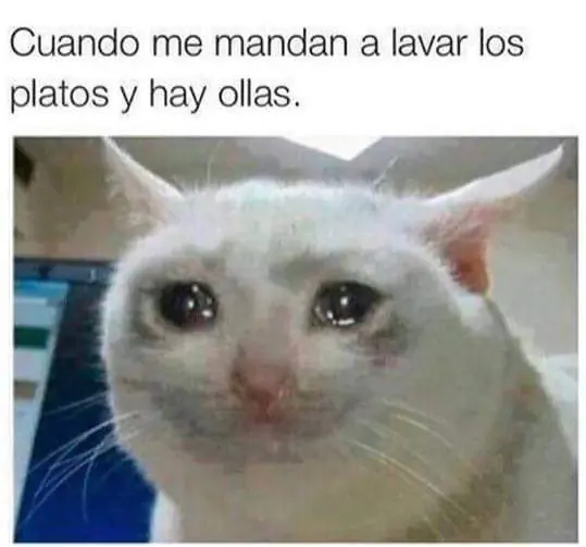 humor