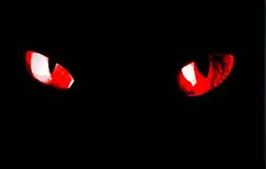 miedo miedo