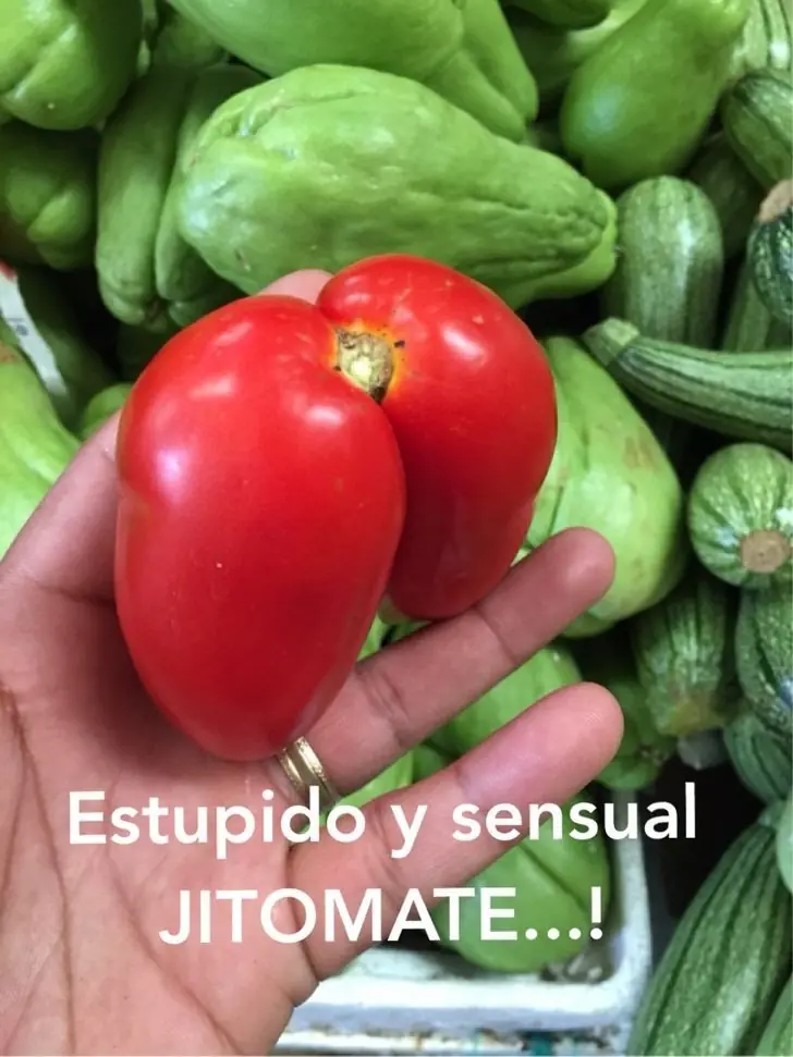 beriku beriku