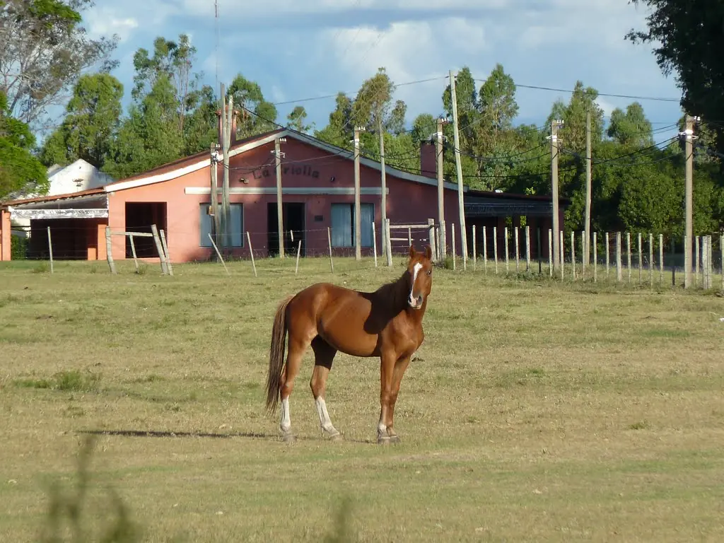 la ciudad mas segura de uruguay la ciudad mas segura de uruguay