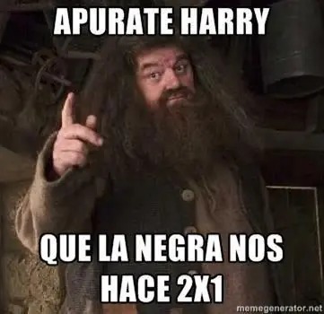harry potter