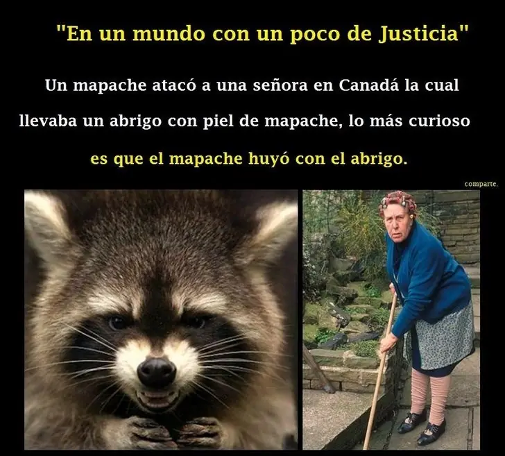 imagenes imagenes
