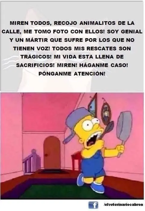 +120 Humor para Cerrar la Semana (13/Sep/2015)