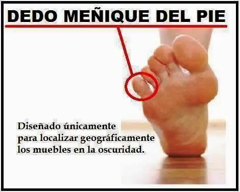 humor