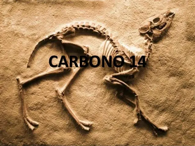 [Teoría] La tierra quizá no es tan antigüa como creemos.