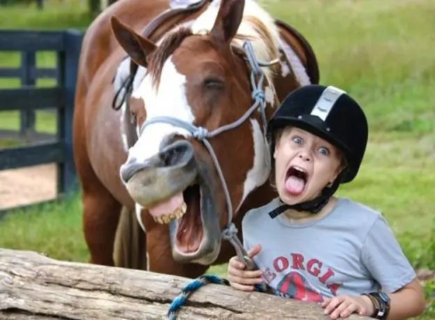 Fotos de animales WTF