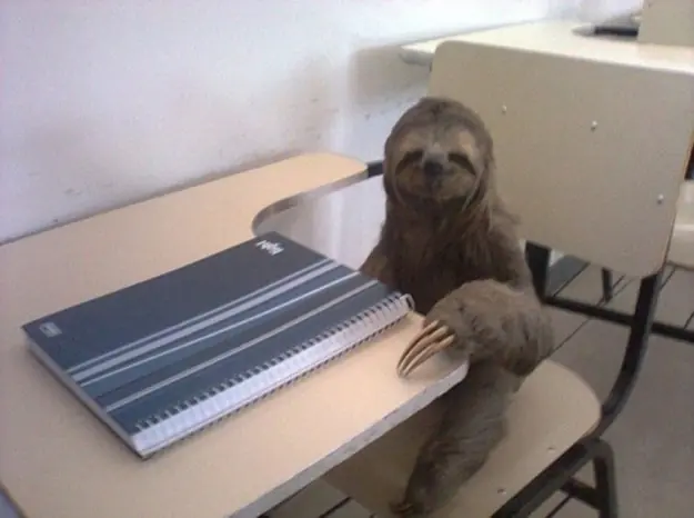Fotos de animales WTF