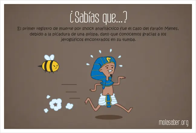 curiosidades