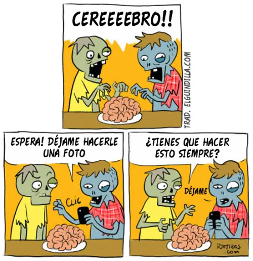 ronrisa