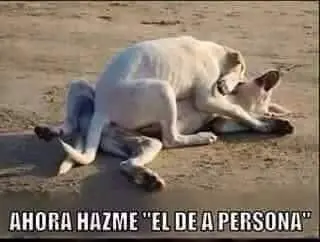 semana