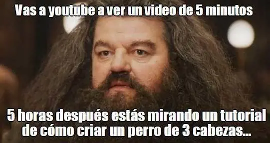 gracioso