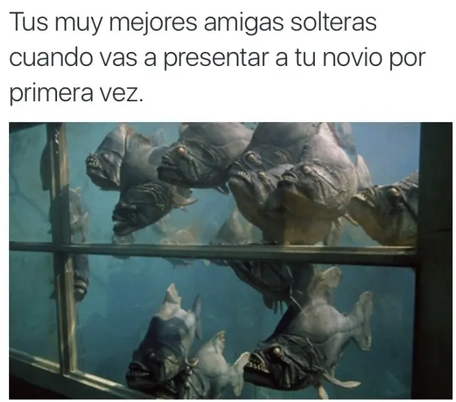 Comenza la semana con una sonrisa. Humor de Lunes señores!