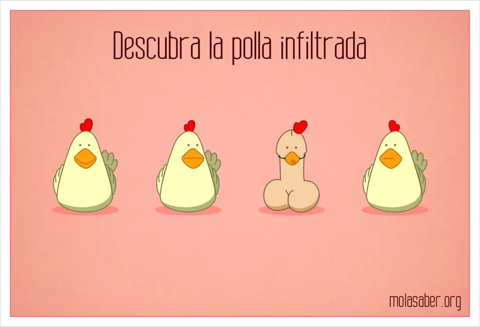 curiosidades