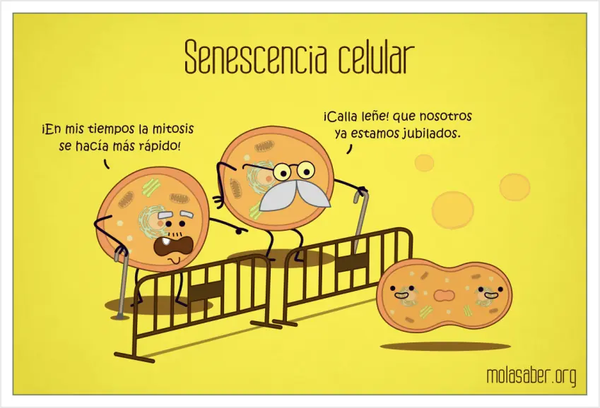 universo